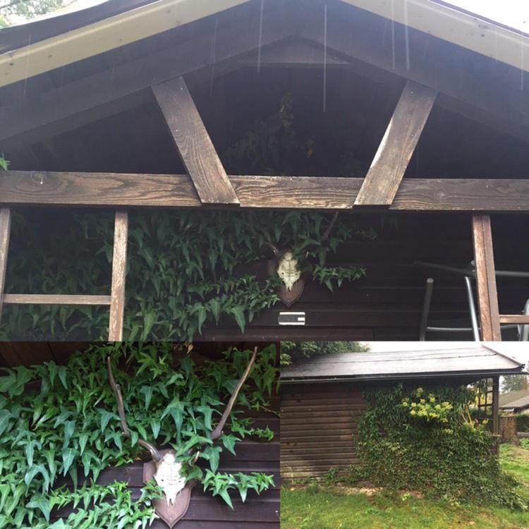 Ferienhaus Braunfels Βίλα Εξωτερικό φωτογραφία