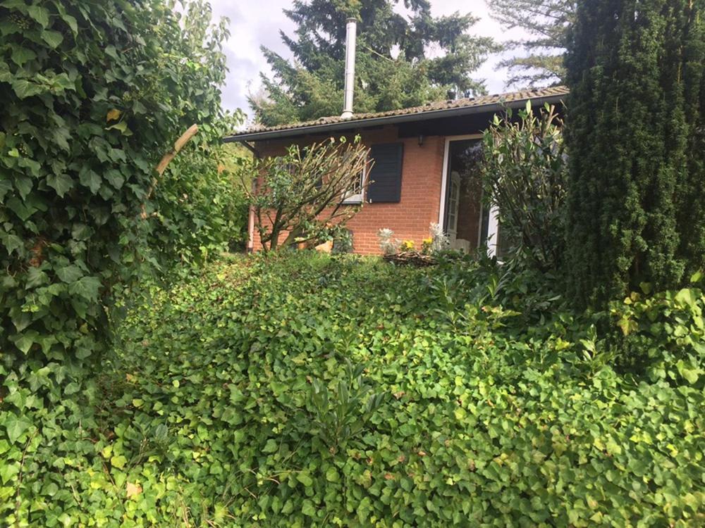 Ferienhaus Braunfels Βίλα Εξωτερικό φωτογραφία